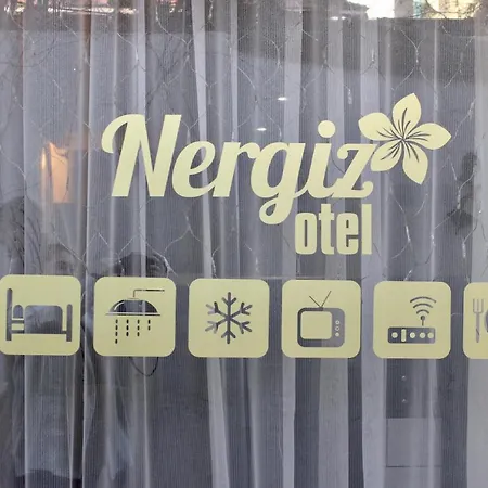 ホテル Nergiz Boutique 3*