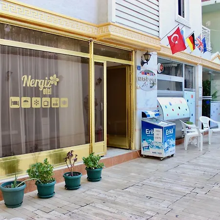 Nergiz Boutique Отель 3*