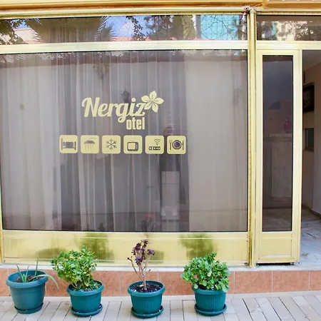 Отель Nergiz Boutique