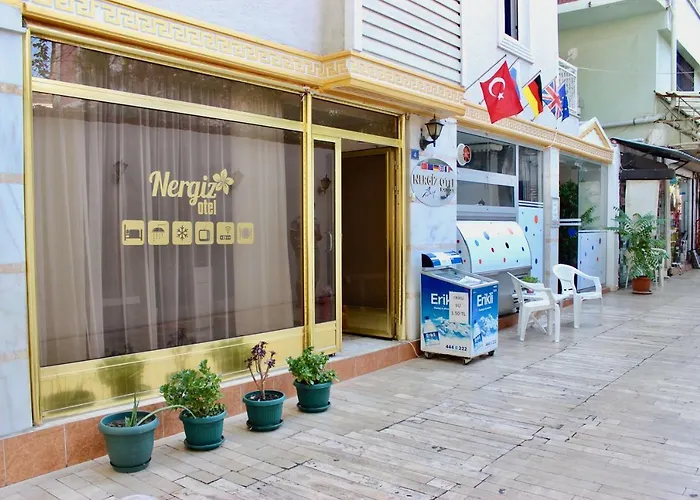 Nergiz Boutique Hotel 3*